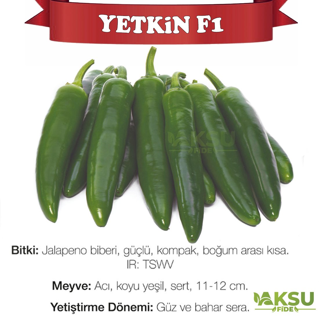Yetkin F1 Jalapeno Biber Fidesi
