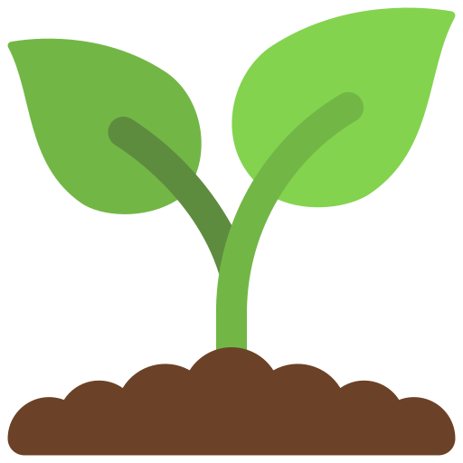 Tüm Fide Çeşitleri