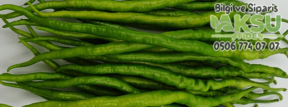 Çalımlı F1 - Tatlı Kıl Biber Fidesi