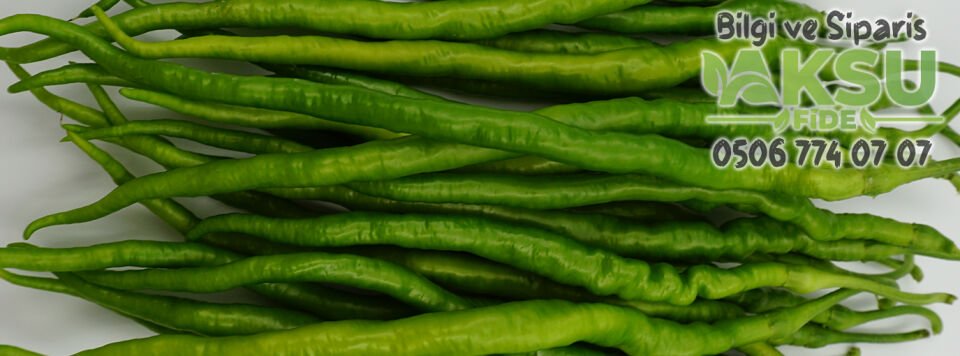 Çalımlı F1 - Tatlı Kıl Biber Fidesi