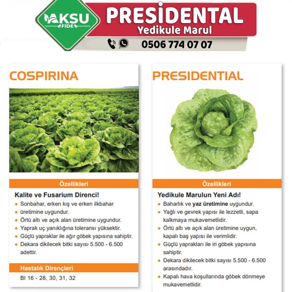 Presidential Yedikule Marul Fidesi