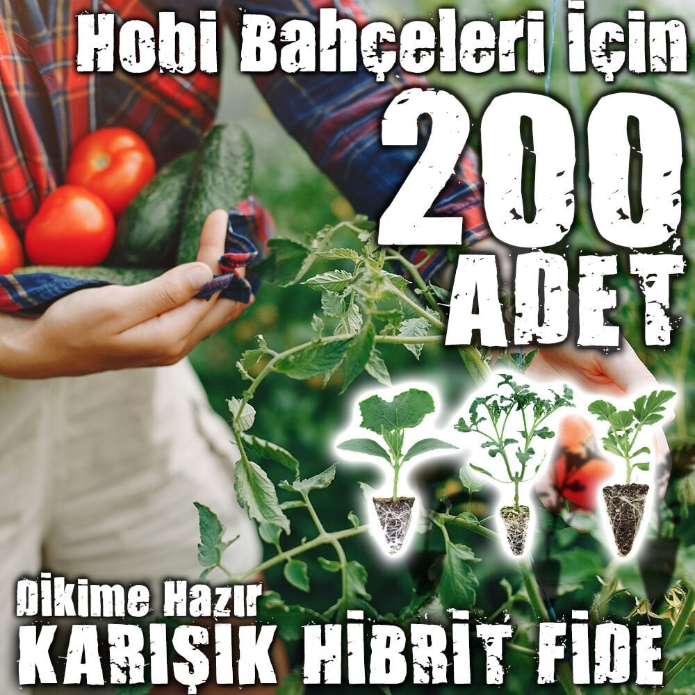 200 Adetli Karışık Hibrit Hobi Fide Seti