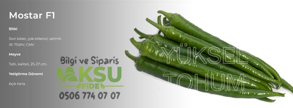 Mostar F1 Sivri Biber Fidesi