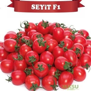 Seyit F1 Kokteyl Domates Fidesi