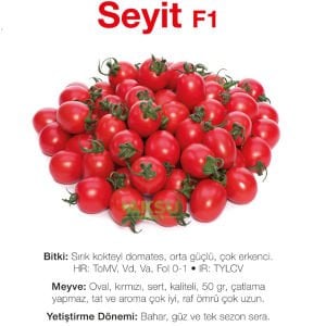 Seyit F1 Kokteyl Domates Fidesi