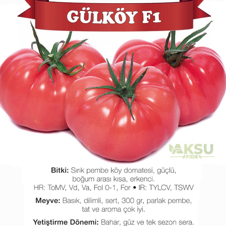Gülköy F1 Pembe Köy Domatesi Fidesi