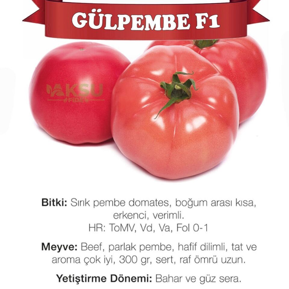 Gülpembe F1 Pembe Beef Domates Fidesi