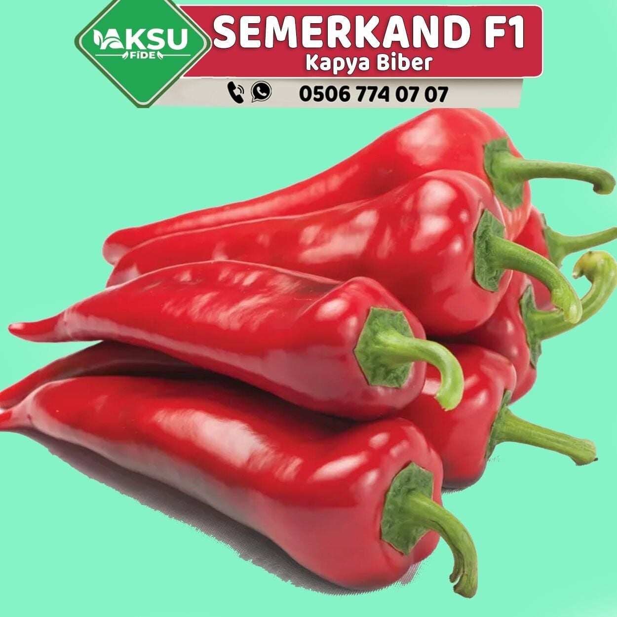 Semerkand F1 Kapya Biber Fidesi