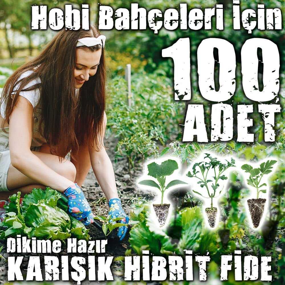100 Adetli Karışık Hibrit Fide Seti