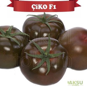 Çiko F1 - Kahverengi Sırık Domates Tohumu