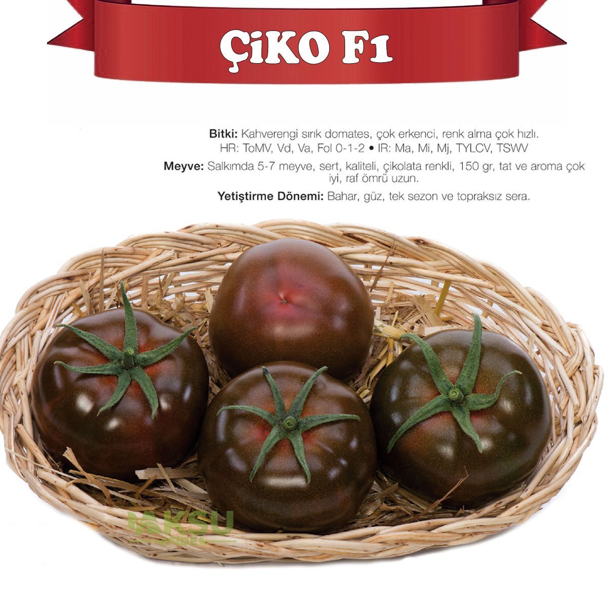 Çiko F1 - Kahverengi Sırık Domates Tohumu