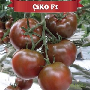 Çiko F1 - Kahverengi Sırık Domates Tohumu