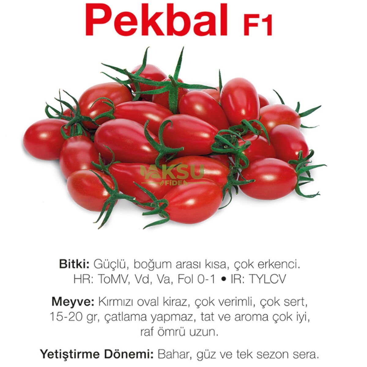 Pekbal F1 - Kırmızı Oval Kiraz Domates Tohumu