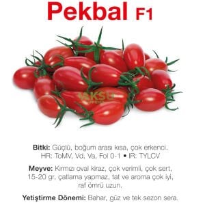 Pekbal F1 - Kırmızı Oval Kiraz Domates Tohumu