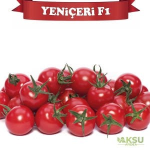 Yeniçeri F1 - Kırmızı Çeri Domates Tohumu