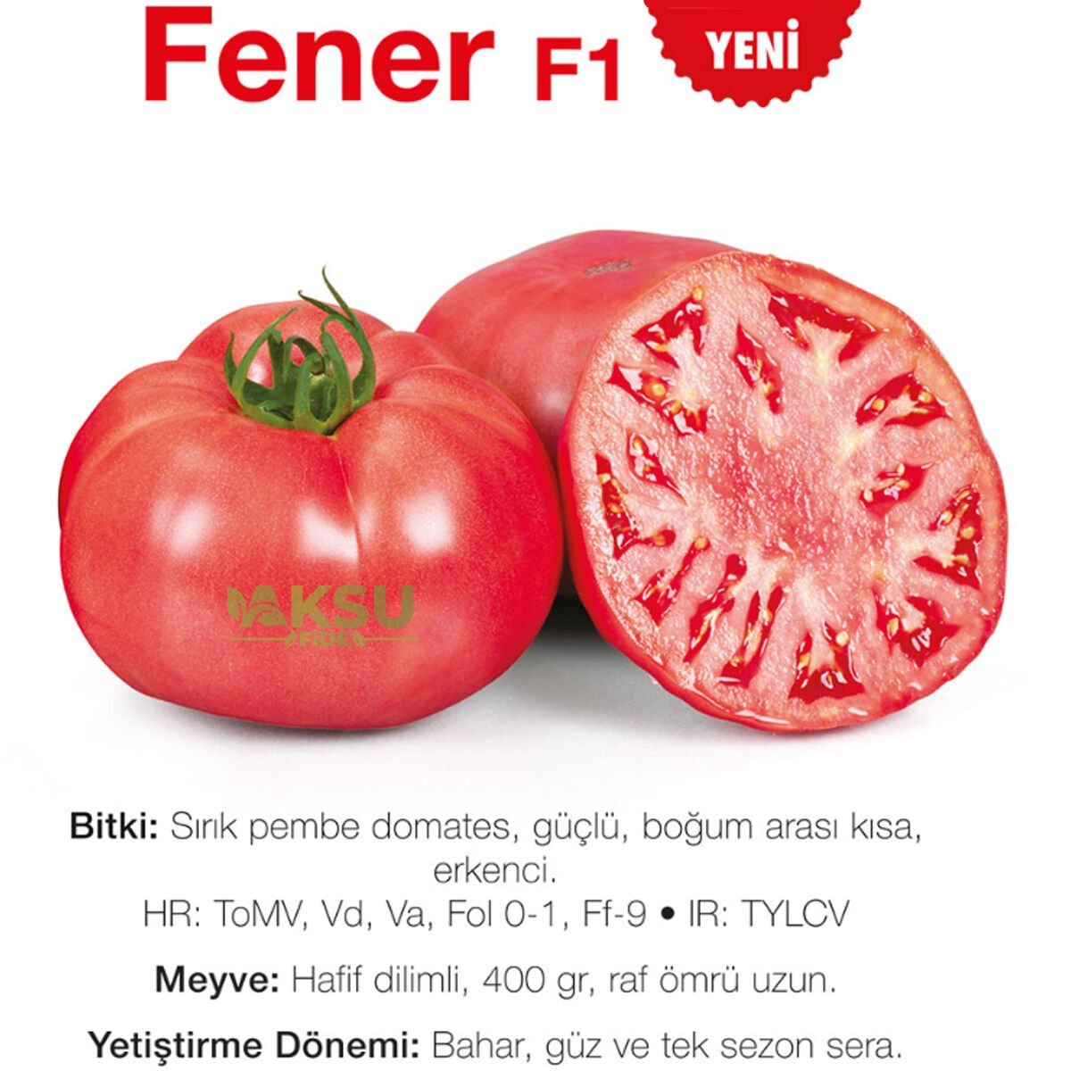 Fener F1 - Pembe Beef Domates Tohumu