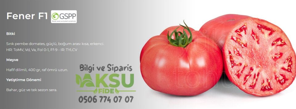 Fener F1 - Pembe Beef Domates Tohumu