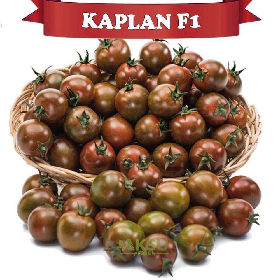 Kaplan F1 - Kahverengi Kokteyl Domates Tohumu