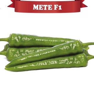 Mete F1 - Acı Kalın Sivri Biber Tohumu