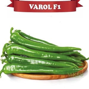 Varol F1 - Acı Kalın Sivri Biber Tohumu