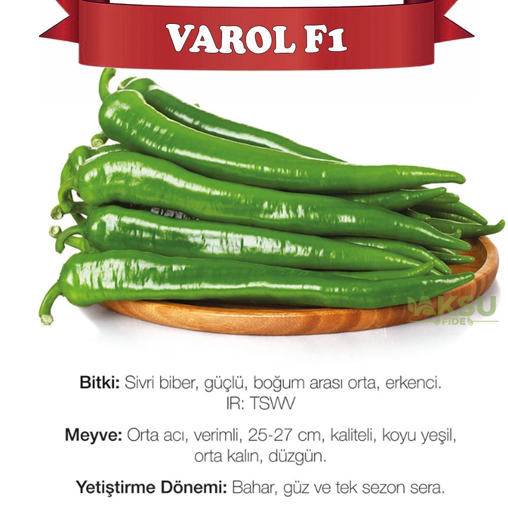 Varol F1 - Acı Kalın Sivri Biber Tohumu