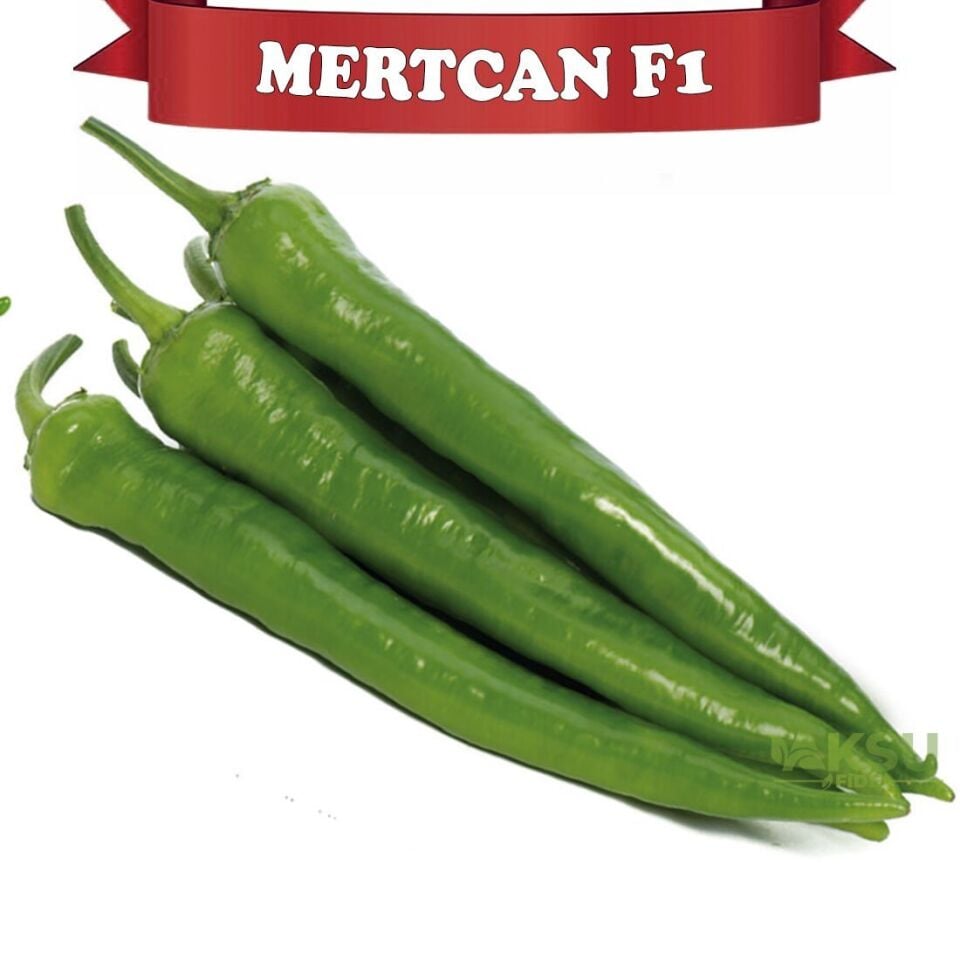 Mertcan F1 - Tatlı Kalın Sivri Biber Tohumu