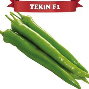 Tekin F1 - Orta Acı Sivri Biber Fidesi