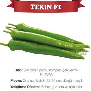 Tekin F1 - Orta Acı Sivri Biber Fidesi