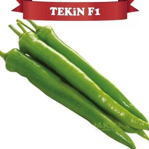 Tekin F1 - Acı Kalın Sivri Biber Tohumu