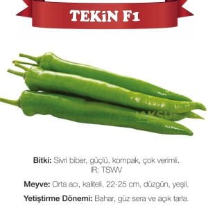 Tekin F1 - Acı Kalın Sivri Biber Tohumu