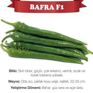 Bafra F1  Acı Sivri Biber Tohumu