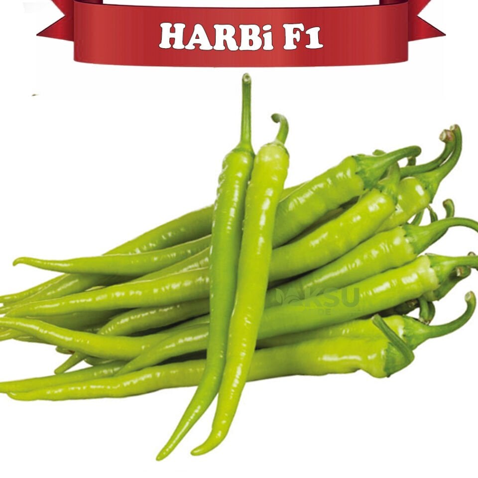 Harbi F1 Tatlı Sivri Biber Tohumu