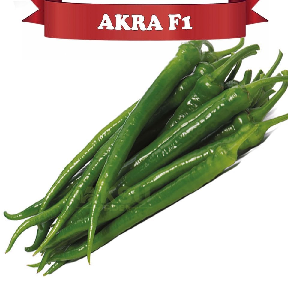 Akra F1  Tatlı İnce Sivri Biber Tohumu