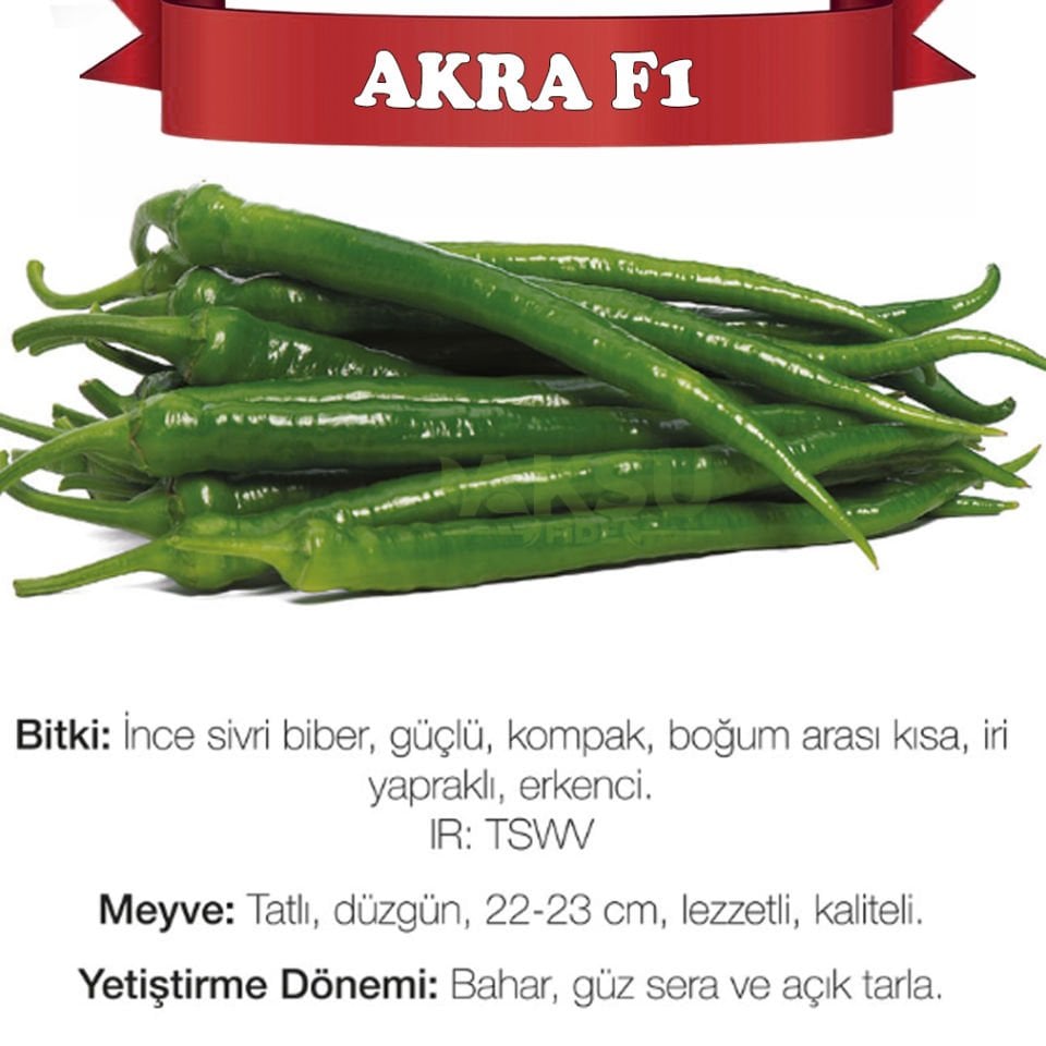 Akra F1  Tatlı İnce Sivri Biber Tohumu