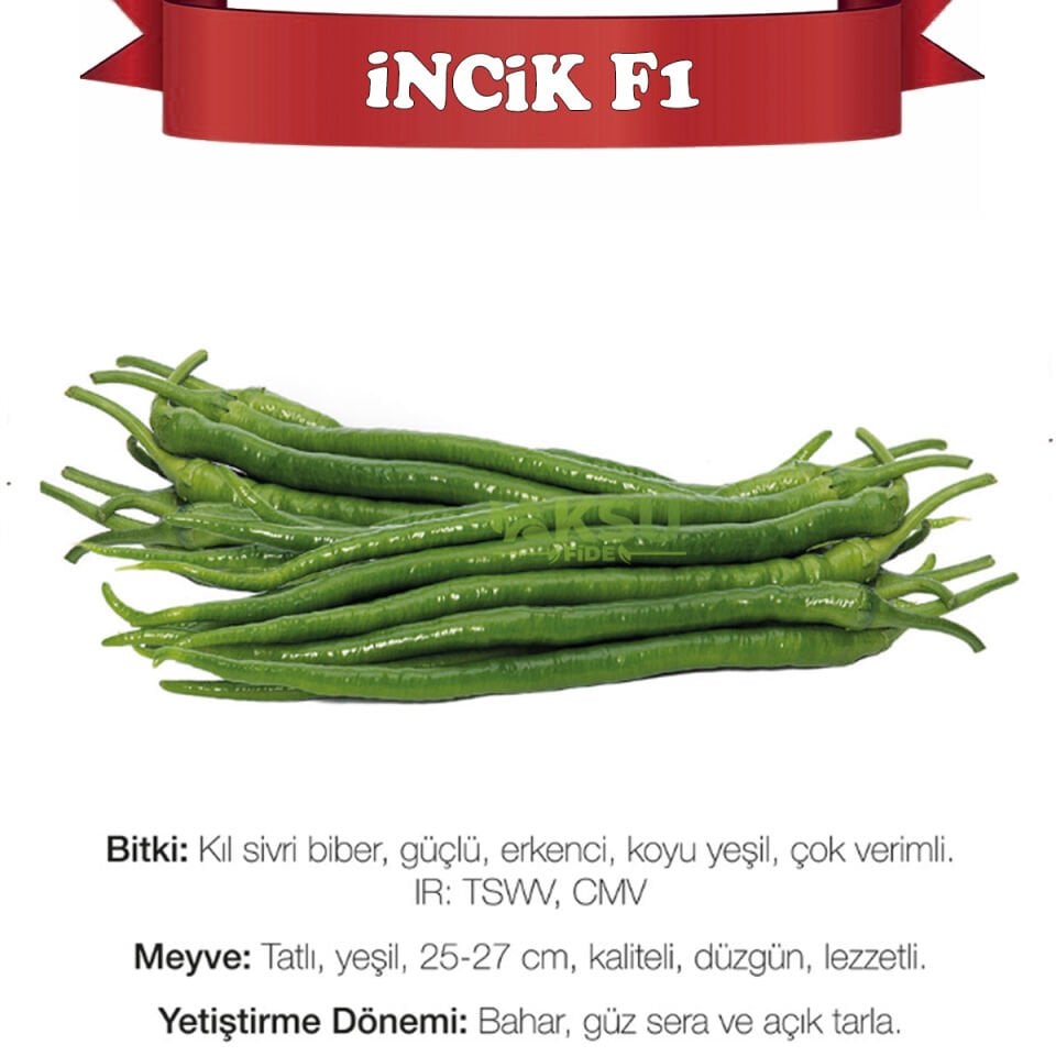 İncik F1 Tatlı Kıl Biber Tohumu