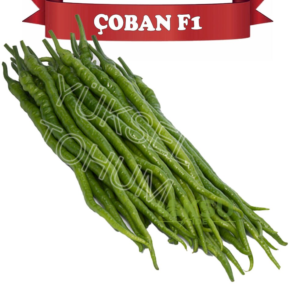 Çoban F1 Kıl Sivri Biber Tohumu