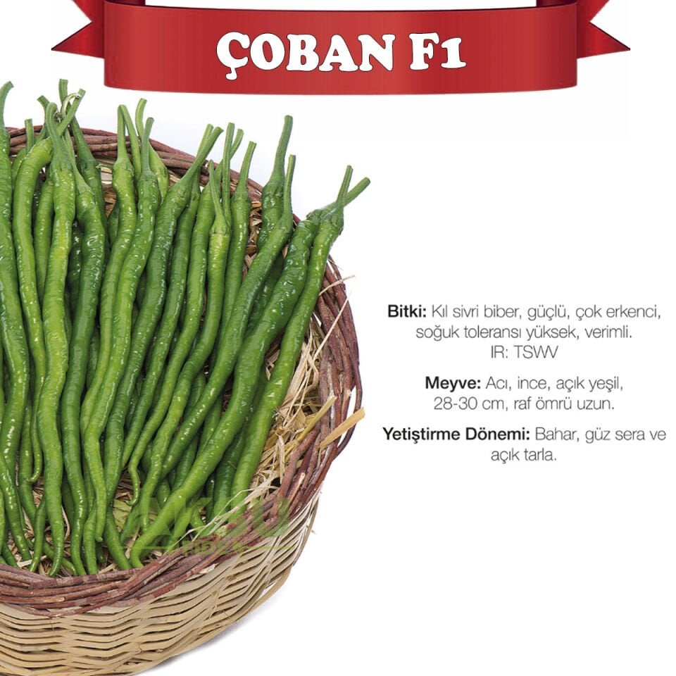 Çoban F1 Kıl Sivri Biber Tohumu