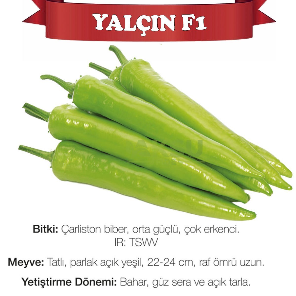 Yalçın F1 Çarliston Biber Tohumu