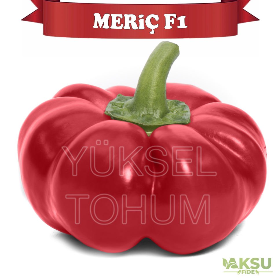 Meriç F1 Domates Biberi Tohumu