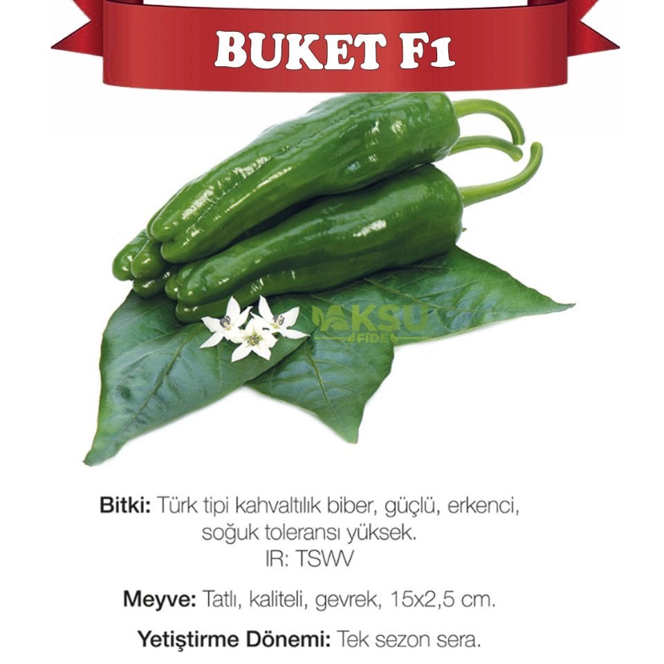 Buket F1 Köy Biberi Fidesi