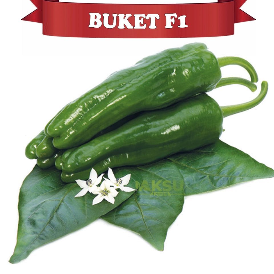Buket F1 Köy Biberi Tohumu