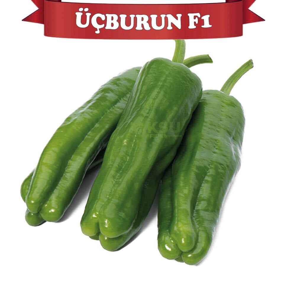 Üçburun F1 Köy Biberi Tohumu