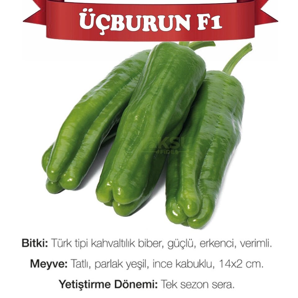 Üçburun F1 Köy Biberi Tohumu