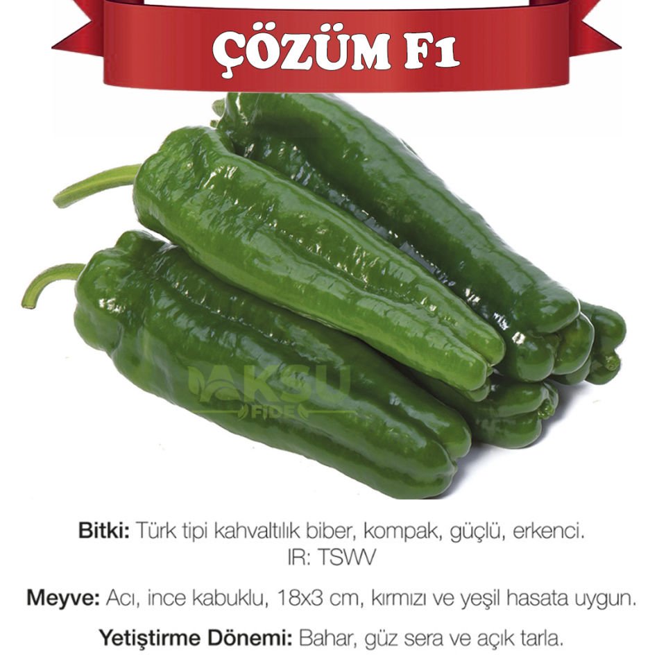 Çözüm F1 Kahvaltılık Acı Köy Biberi Fidesi