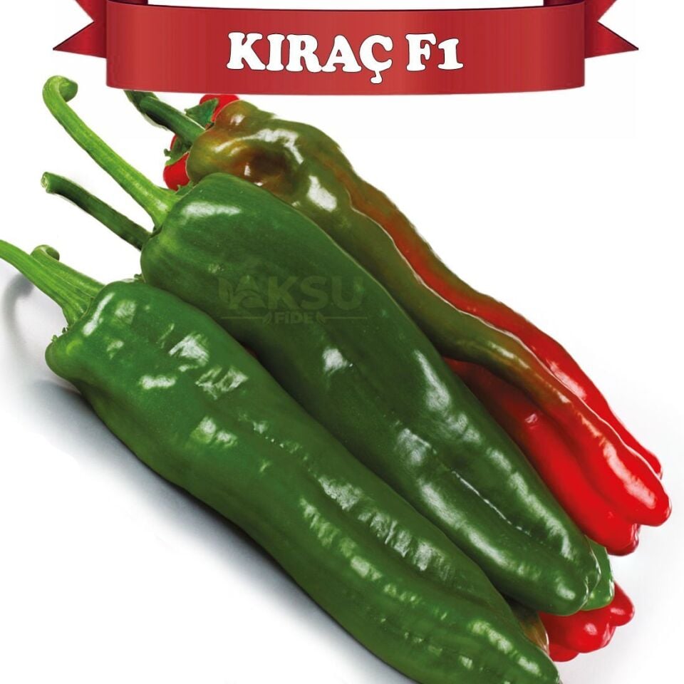 Kıraç F1 Köy Tipi Kapya Biber Fidesi