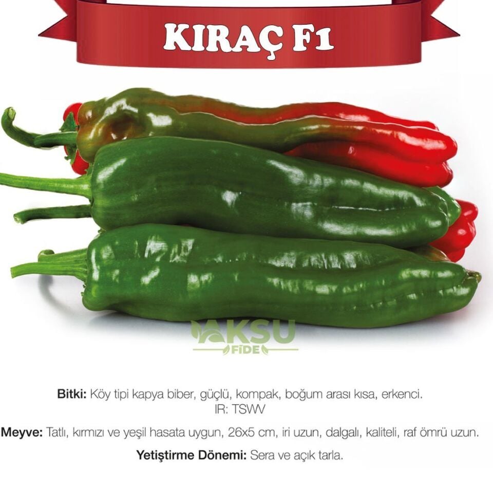 Kıraç F1 Köy Tipi Kapya Biber Fidesi