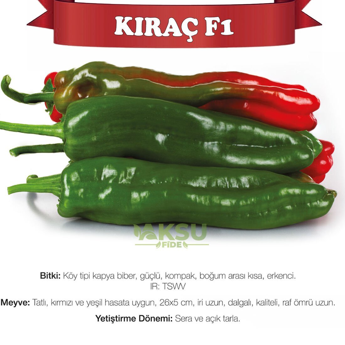 Kıraç F1 Köy Tipi Kapya Biber Tohumu