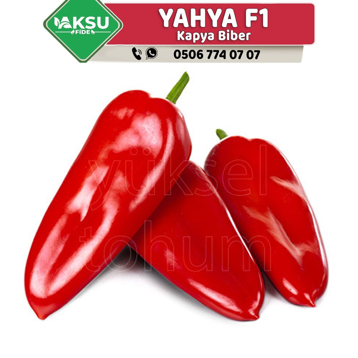 Yahya F1 Kapya Biber Tohumu