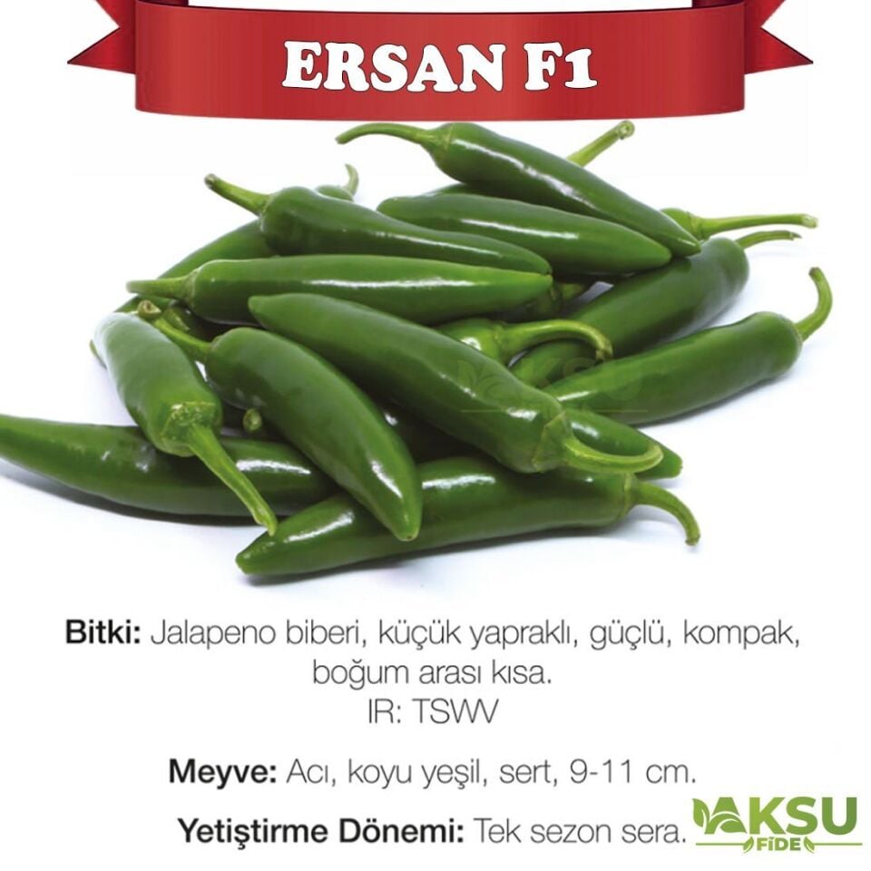 Ersan F1 Jalapeno Biber Fidesi
