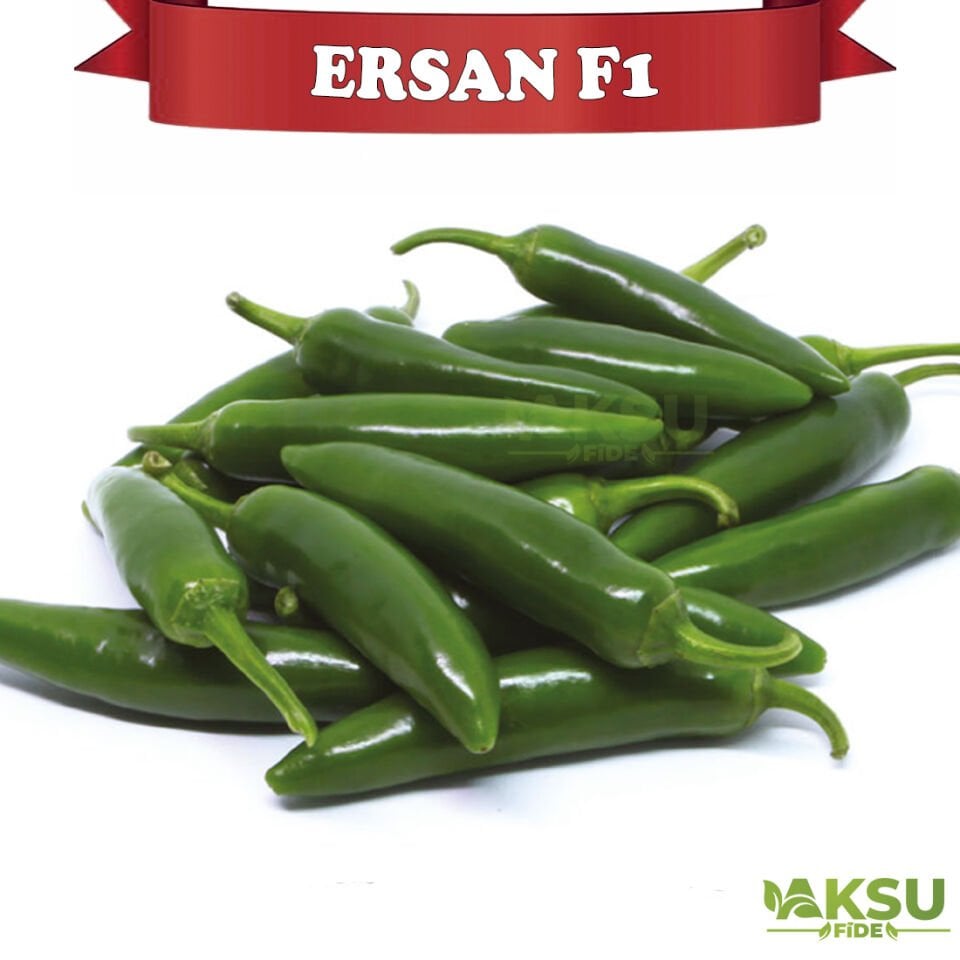Ersan F1 Jalepone Biber Tohumu